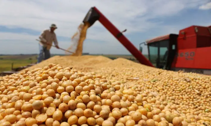 Anapo pide liberación total de exportaciones agrícolas