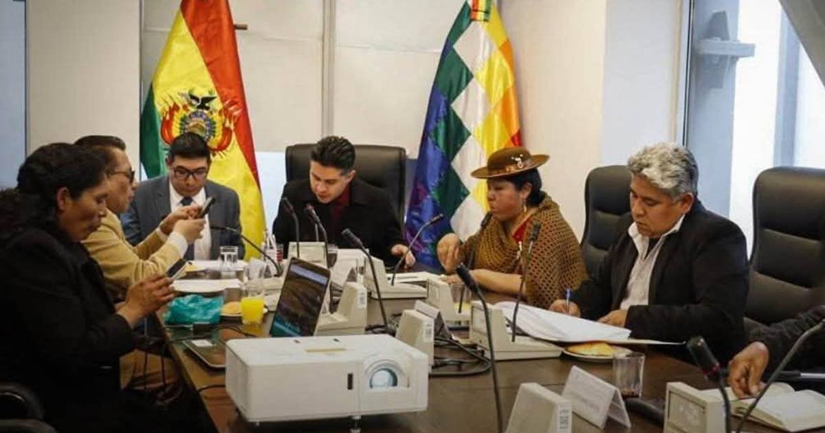 Proyecto busca garantizar libre transitabilidad y protección del pueblo boliviano