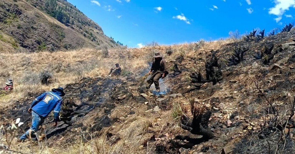 Incendio en Mizque deja un fallecido y 2.500 hectáreas afectadas
