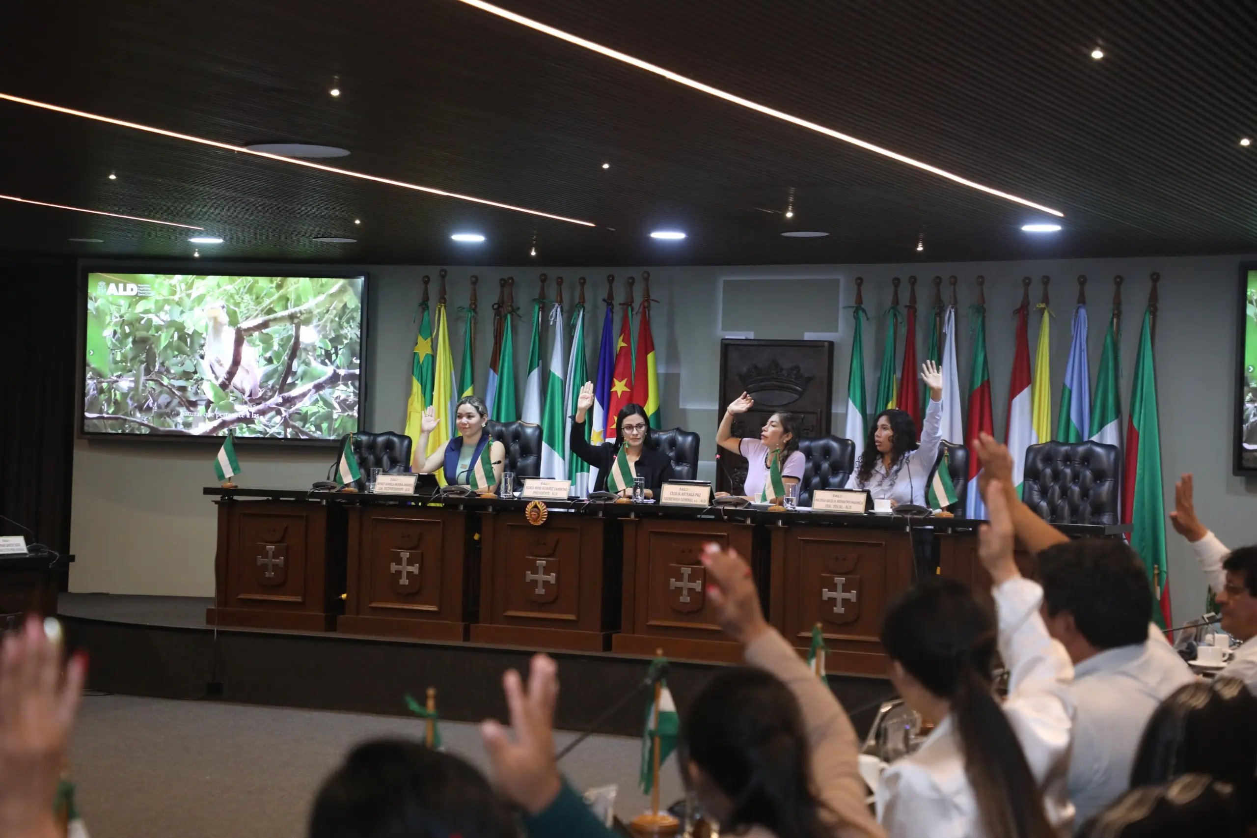 Asamblea de Santa Cruz impulsa cambio a la ley 260