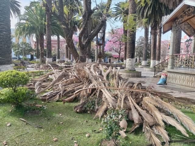 Senamhi emite alerta naranja por vientos en cuatro departamentos