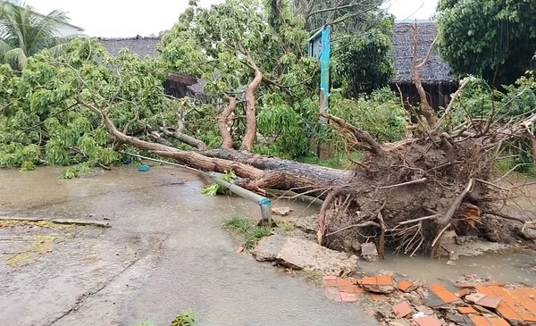 Fuertes lluvias y viento causan daños en Rurrenabaque