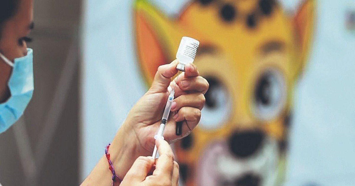 Influenza tipo B predomina en La Paz con 72%