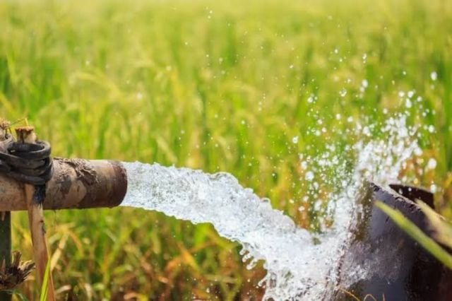 Productores de Tolomosa Norte alertan baja de agua para riego