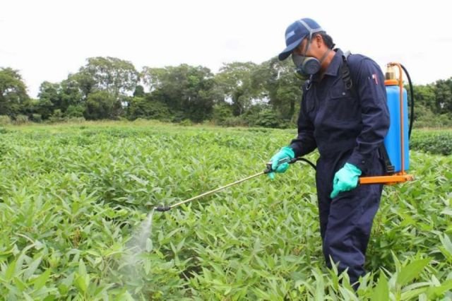 Más de 100 participantes asistieron a capacitación del SENASAG