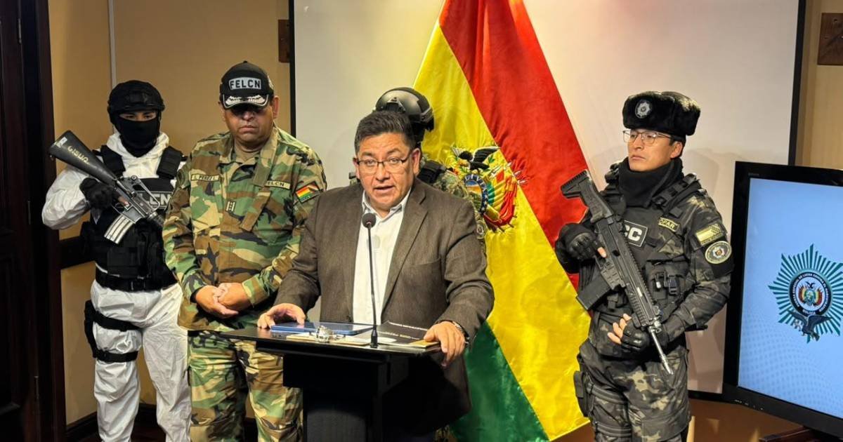 Viceministro reporta afectación de $us 2,7 millones al narcotráfico