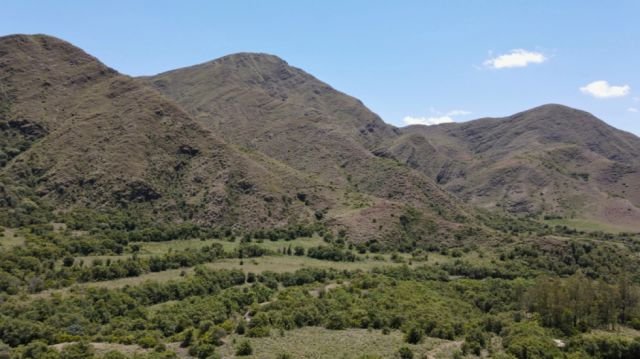 Caminos arbolados y miradores distinguen a Pinos Sud