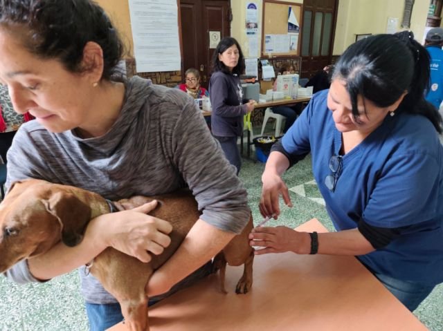 Tarija vacuna a más de 94.000 mascotas contra la rabia