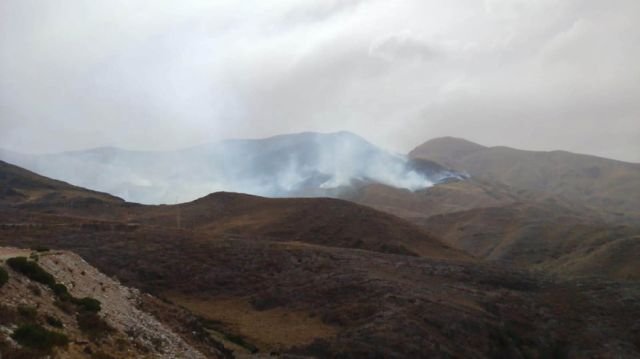 Advierten que animales siguen muriendo tras incendio en Calderilla